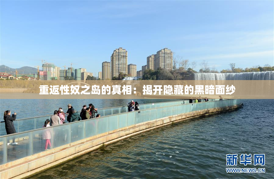 重返性奴之岛的真相：揭开隐藏的黑暗面纱
