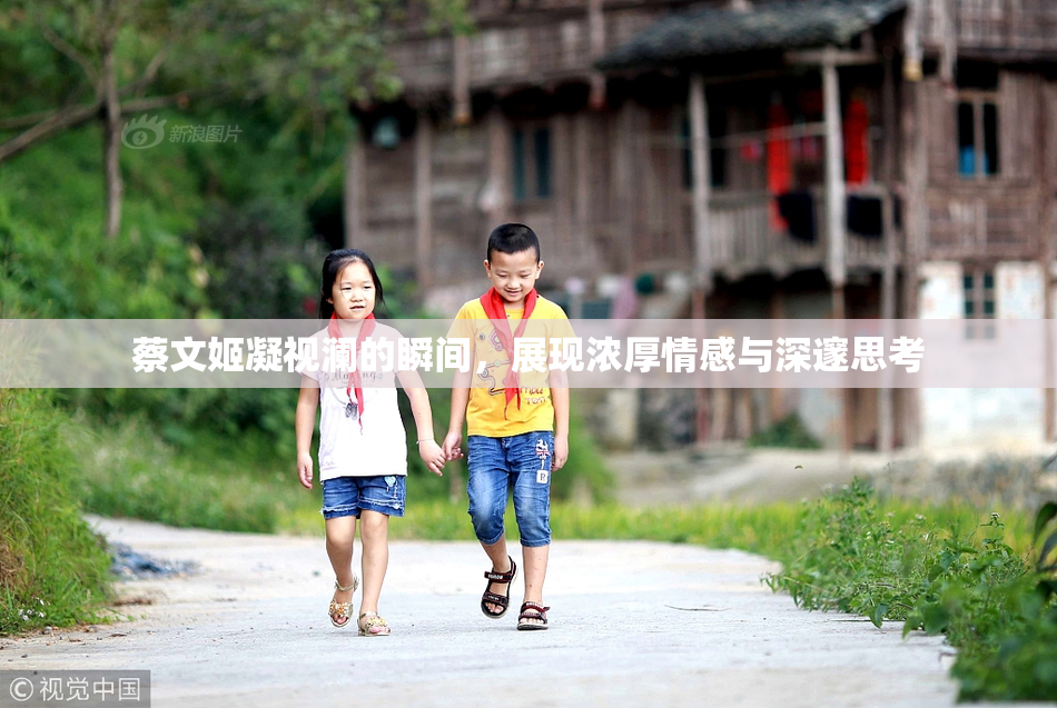 蔡文姬凝视澜的瞬间，展现浓厚情感与深邃思考