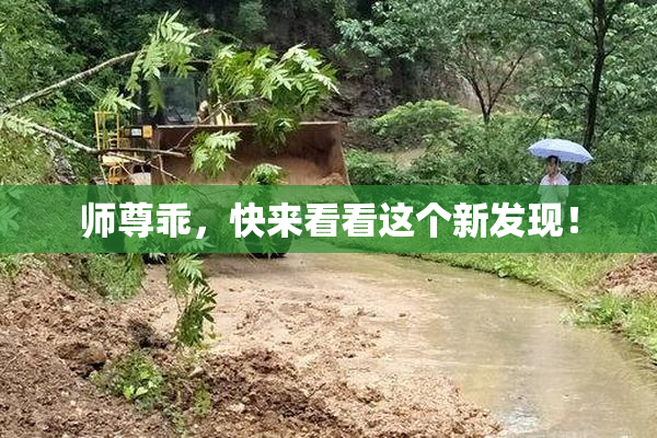 师尊乖，快来看看这个新发现！