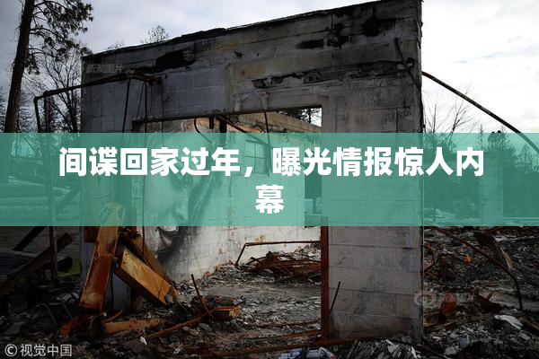 间谍回家过年，曝光情报惊人内幕