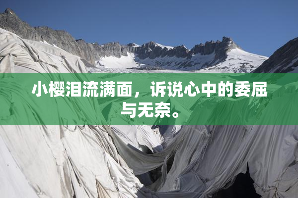 小樱泪流满面，诉说心中的委屈与无奈。