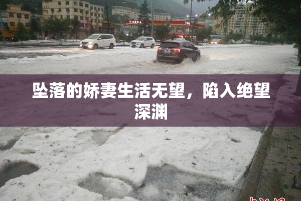 坠落的娇妻生活无望，陷入绝望深渊