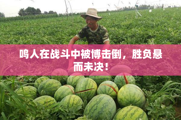 鸣人在战斗中被博击倒，胜负悬而未决！