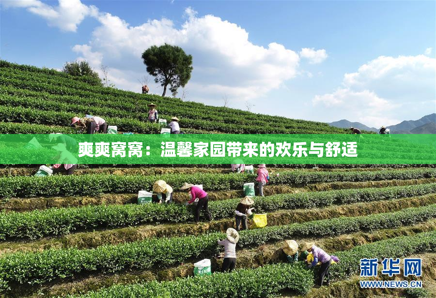 爽爽窝窝：温馨家园带来的欢乐与舒适