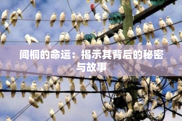 间桐的命运：揭示其背后的秘密与故事