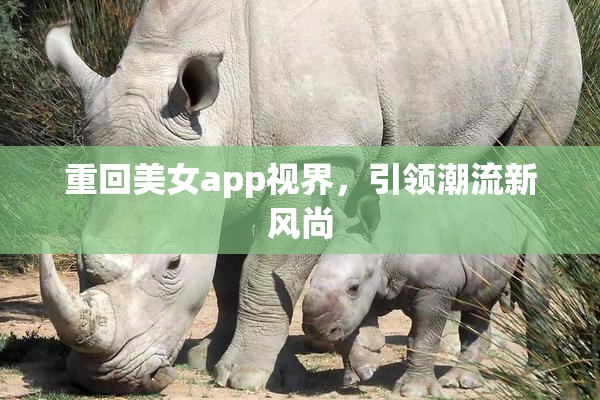 重回美女app视界，引领潮流新风尚