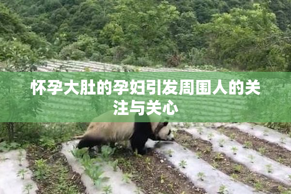 怀孕大肚的孕妇引发周围人的关注与关心