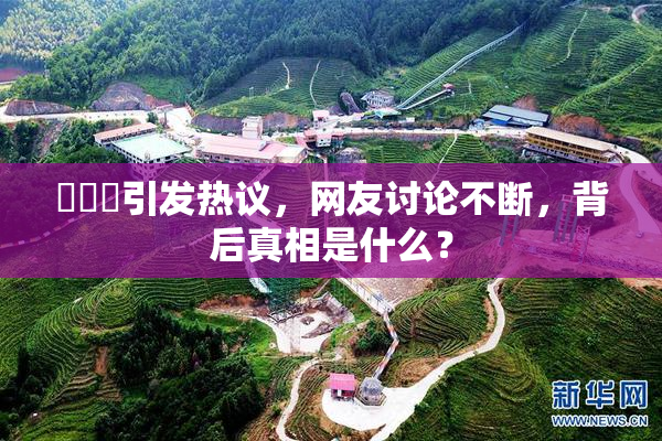 逹葢薾引发热议，网友讨论不断，背后真相是什么？
