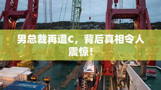 男总裁再遭C，背后真相令人震惊！