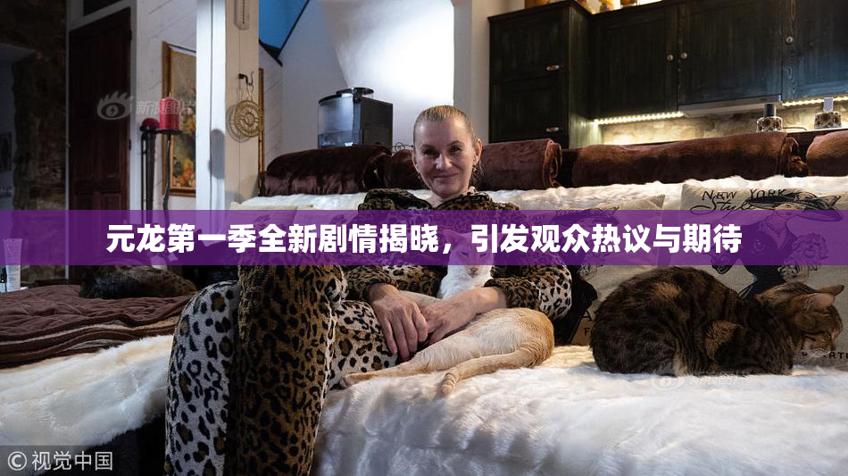 元龙第一季全新剧情揭晓，引发观众热议与期待