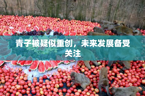 青子被疑似重创，未来发展备受关注