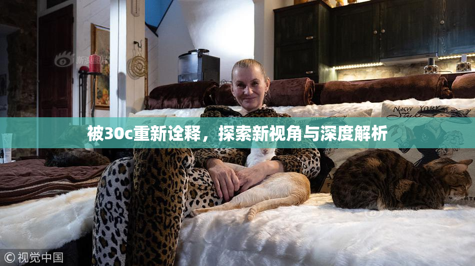 被30c重新诠释，探索新视角与深度解析