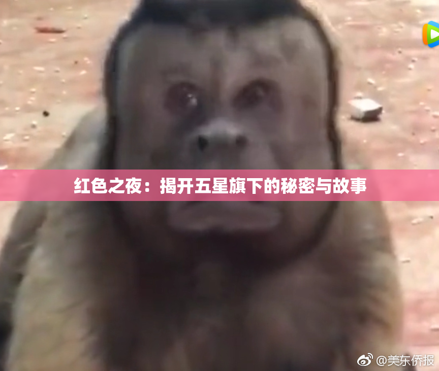 红色之夜：揭开五星旗下的秘密与故事