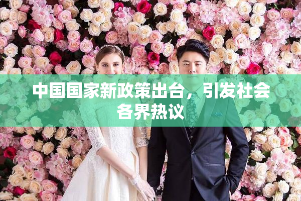 中国国家新政策出台，引发社会各界热议