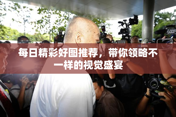 每日精彩好图推荐，带你领略不一样的视觉盛宴