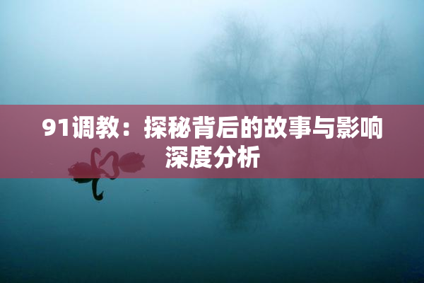 91调教：探秘背后的故事与影响深度分析