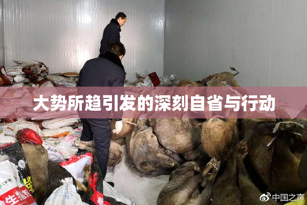 大势所趋引发的深刻自省与行动