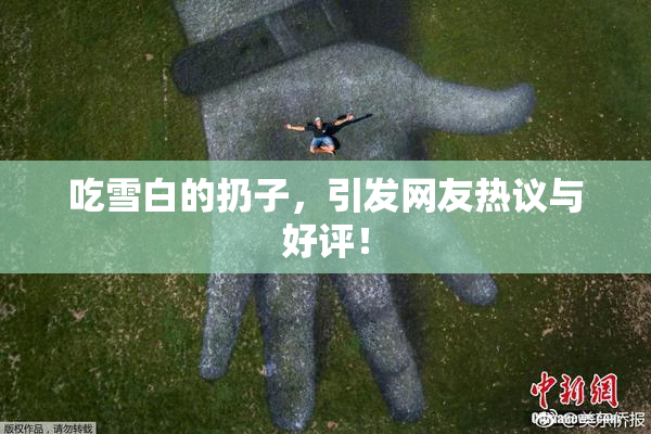 吃雪白的扔子，引发网友热议与好评！