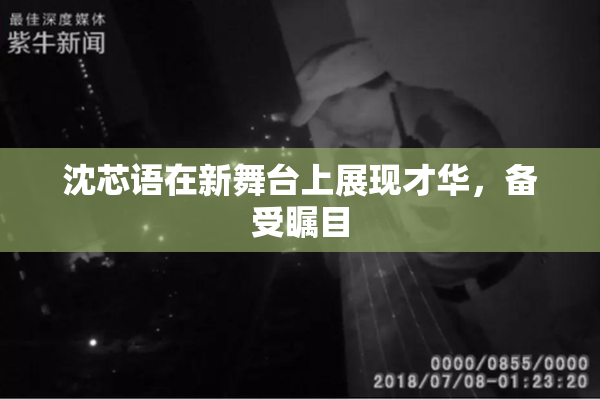 沈芯语在新舞台上展现才华，备受瞩目
