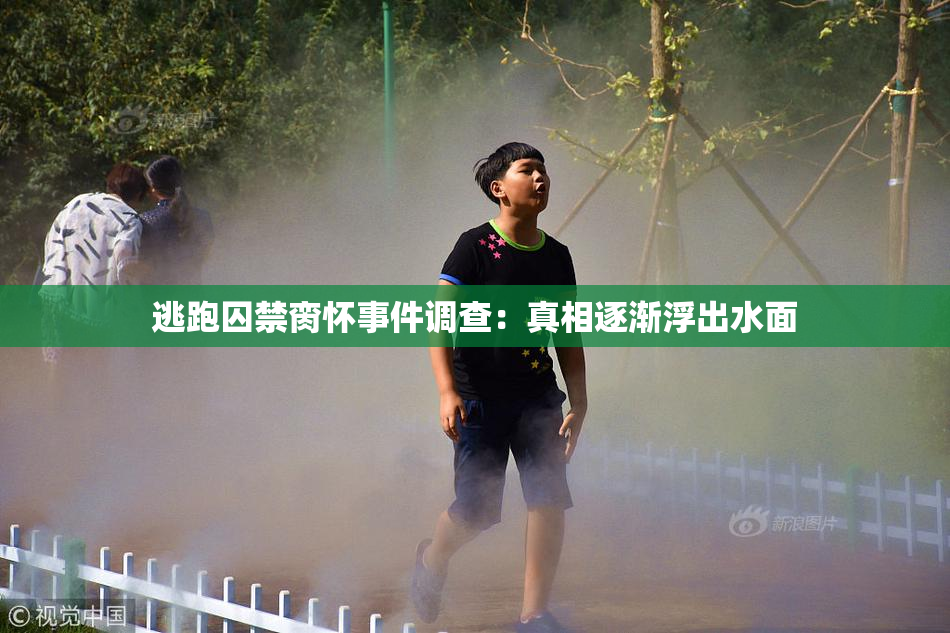 逃跑囚禁脔怀事件调查：真相逐渐浮出水面