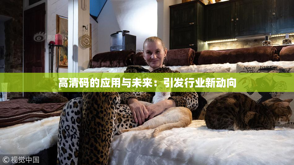 高清码的应用与未来：引发行业新动向
