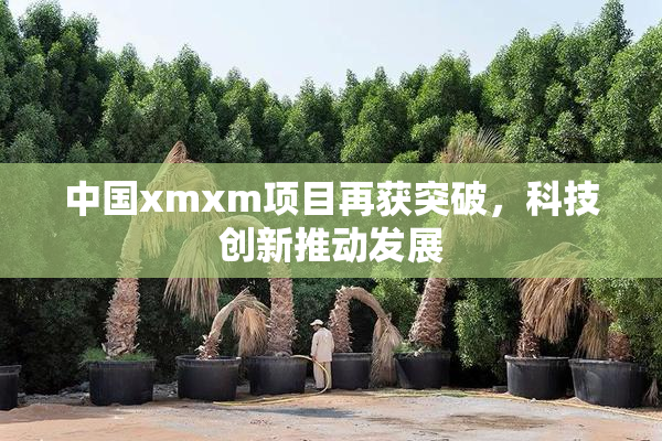 中国xmxm项目再获突破，科技创新推动发展