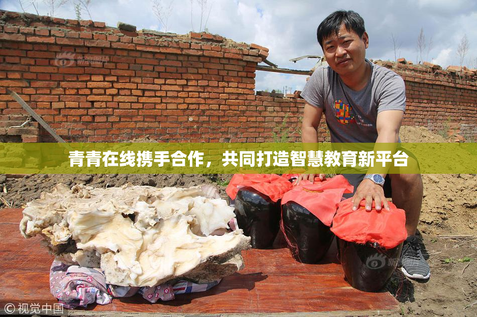青青在线携手合作，共同打造智慧教育新平台