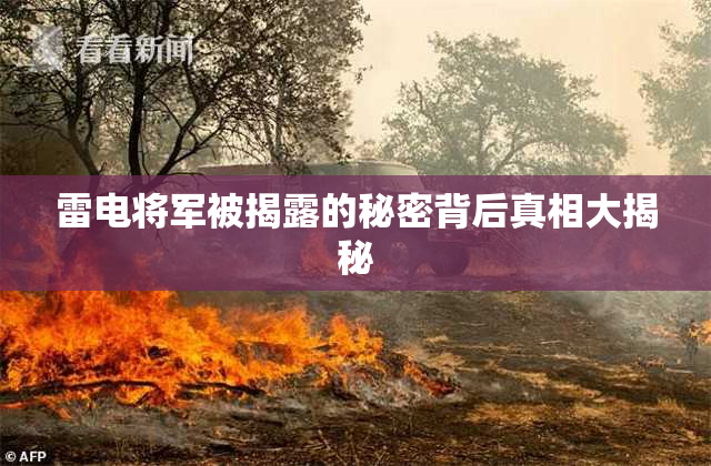 雷电将军被揭露的秘密背后真相大揭秘