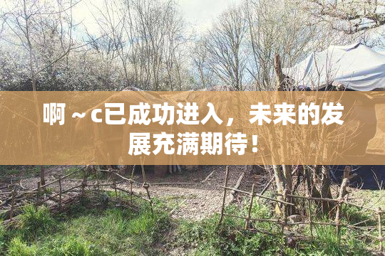 啊～c已成功进入，未来的发展充满期待！