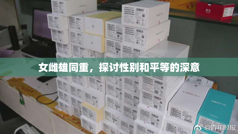 女雌雄同重，探讨性别和平等的深意