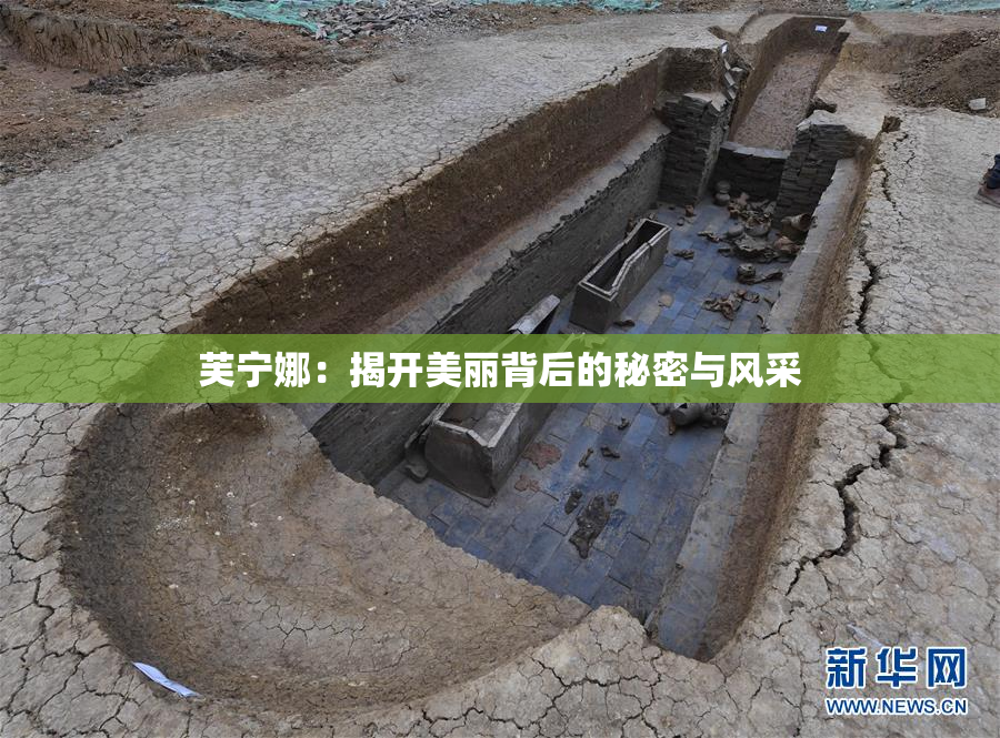 芙宁娜：揭开美丽背后的秘密与风采