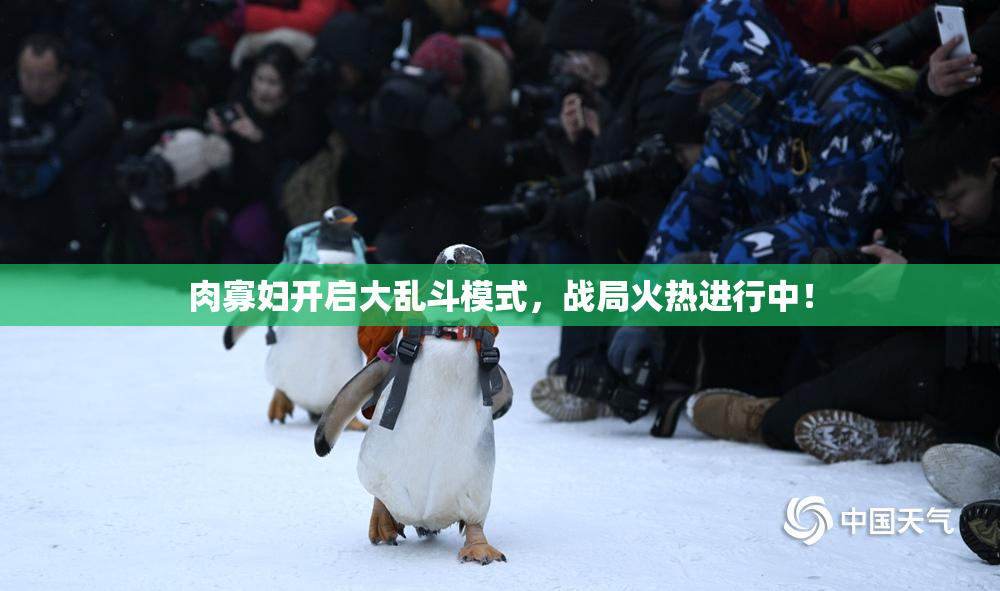 肉寡妇开启大乱斗模式，战局火热进行中！