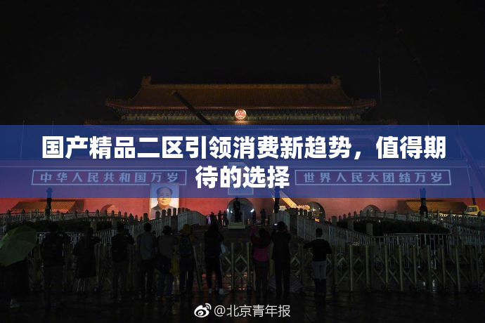 国产精品二区引领消费新趋势，值得期待的选择