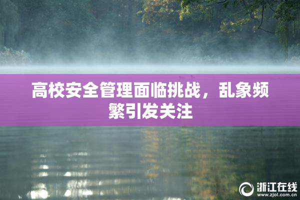 高校安全管理面临挑战，乱象频繁引发关注