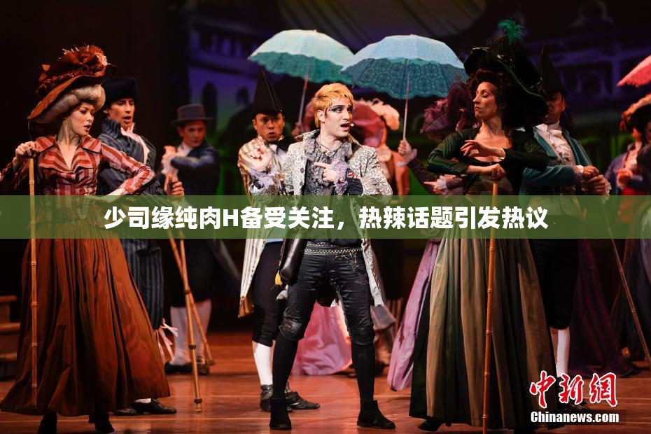 少司缘纯肉H备受关注，热辣话题引发热议