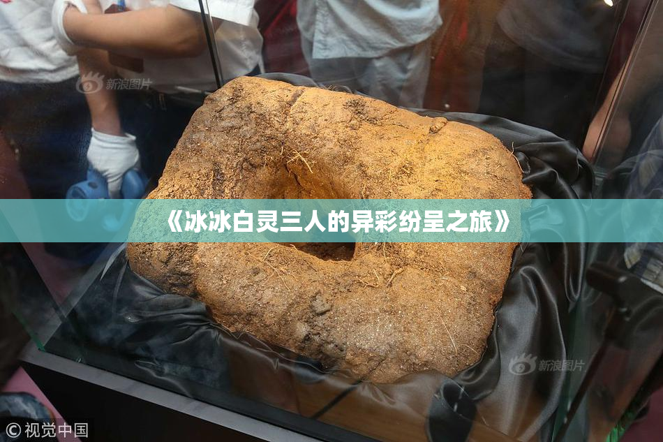 《冰冰白灵三人的异彩纷呈之旅》