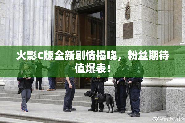 火影C版全新剧情揭晓，粉丝期待值爆表！