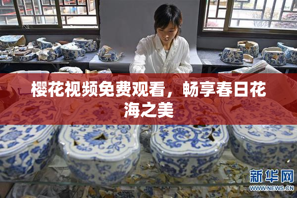 樱花视频免费观看，畅享春日花海之美