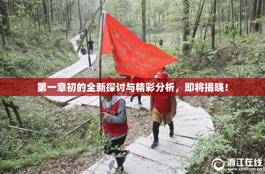 第一章初的全新探讨与精彩分析，即将揭晓！