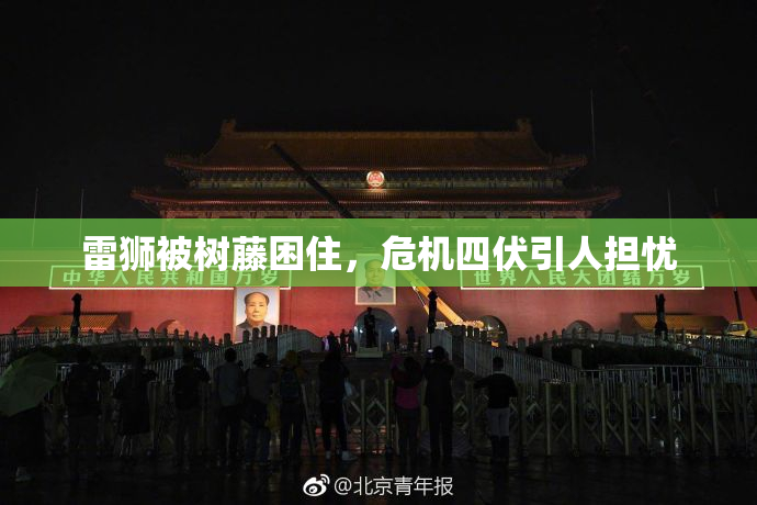 雷狮被树藤困住，危机四伏引人担忧