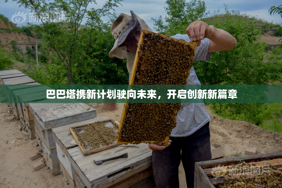 巴巴塔携新计划驶向未来，开启创新新篇章