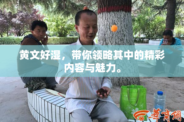 黄文好湿，带你领略其中的精彩内容与魅力。