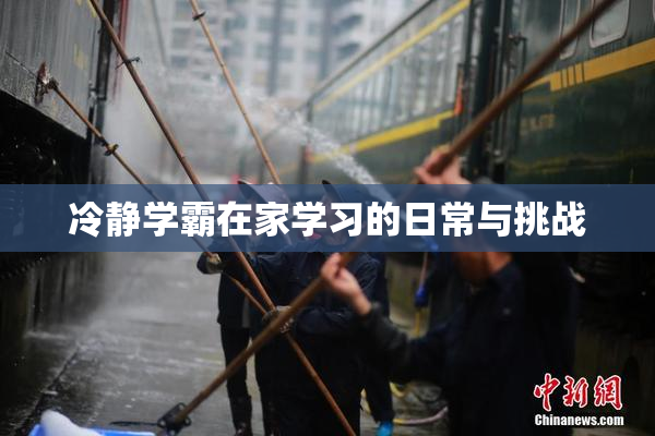 冷静学霸在家学习的日常与挑战