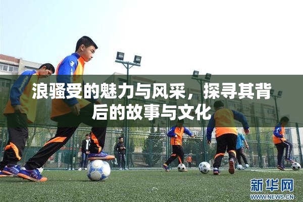 浪骚受的魅力与风采，探寻其背后的故事与文化