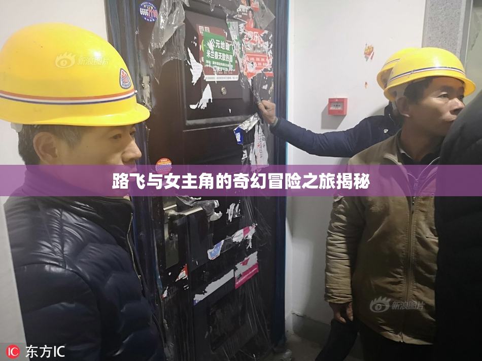 路飞与女主角的奇幻冒险之旅揭秘