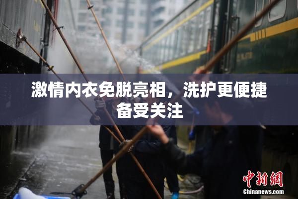 激情内衣免脱亮相，洗护更便捷备受关注