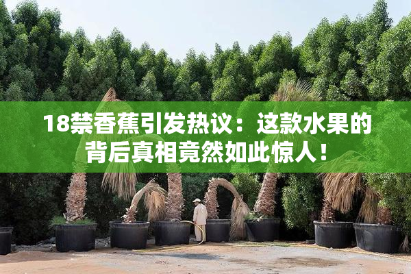 18禁香蕉引发热议：这款水果的背后真相竟然如此惊人！