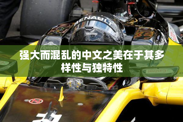 强大而混乱的中文之美在于其多样性与独特性