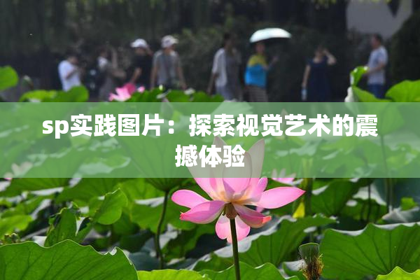 sp实践图片：探索视觉艺术的震撼体验