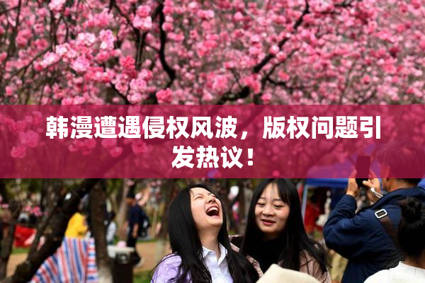 韩漫遭遇侵权风波，版权问题引发热议！
